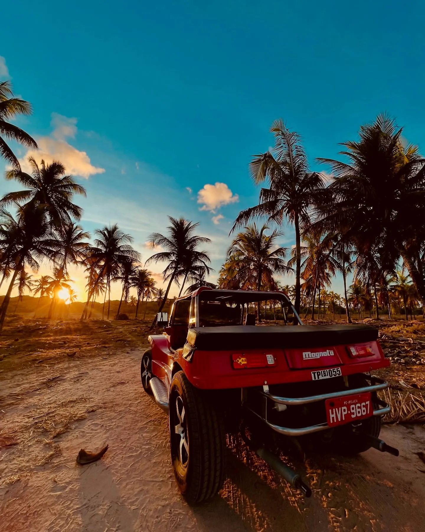 Buggy na praia entre coqueiros ao entardecer